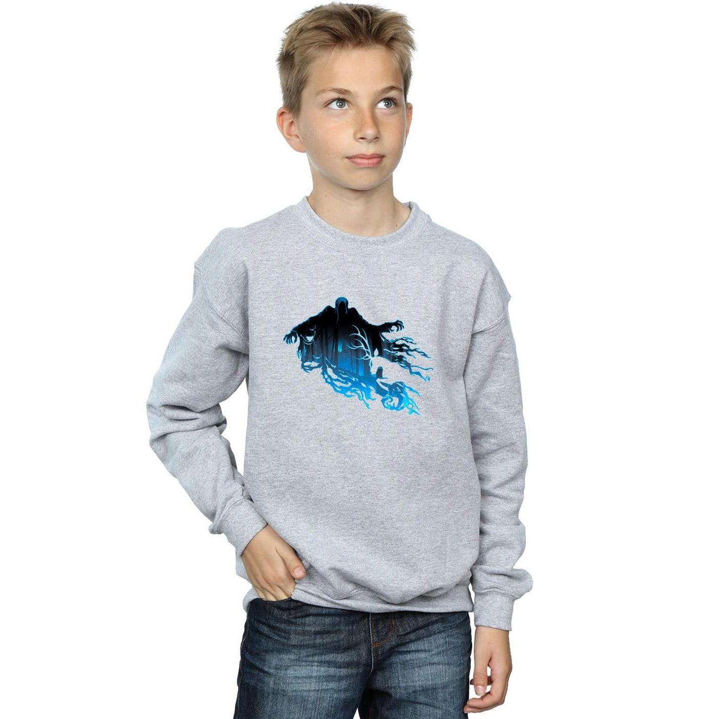 Harry Potter  Sweatshirt 