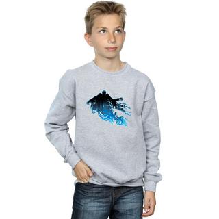 Harry Potter  Sweatshirt 