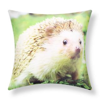 Avizar Set 2 copricuscini Hedgehog Garden  