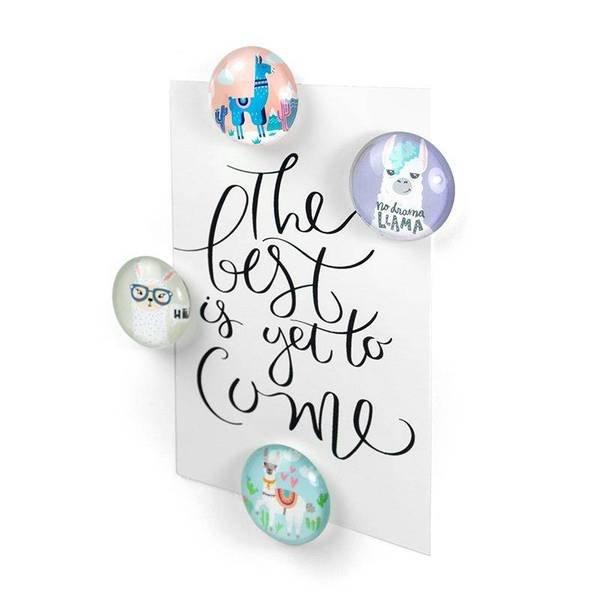 trendform EYE aimants LLAMA set de 4  