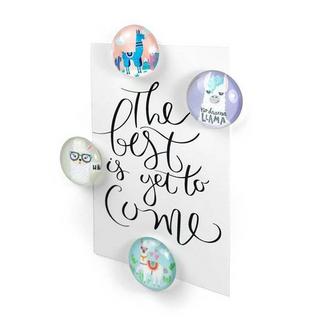 trendform EYE aimants LLAMA set de 4  