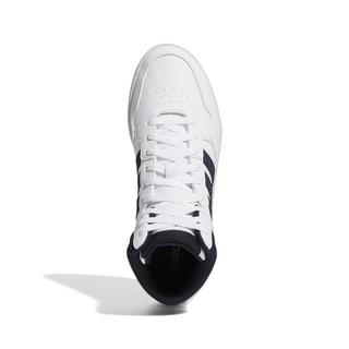 adidas  sneakers hoops 3.0 