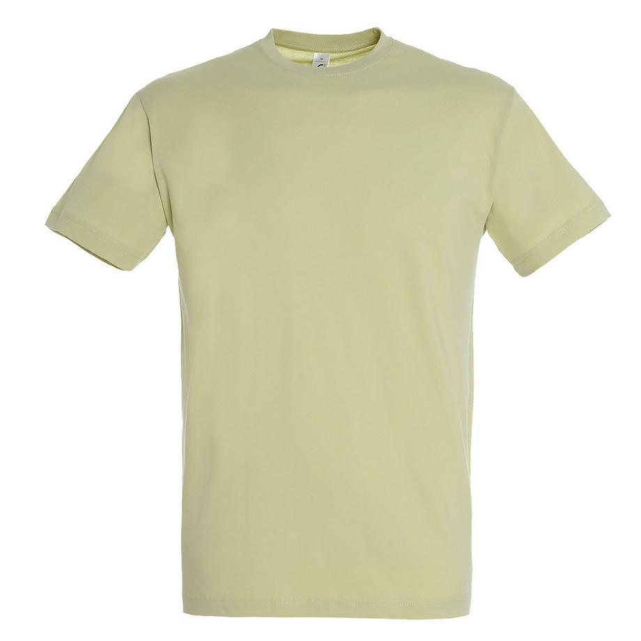 SOLS Regent Kurzarm T-Shirt  