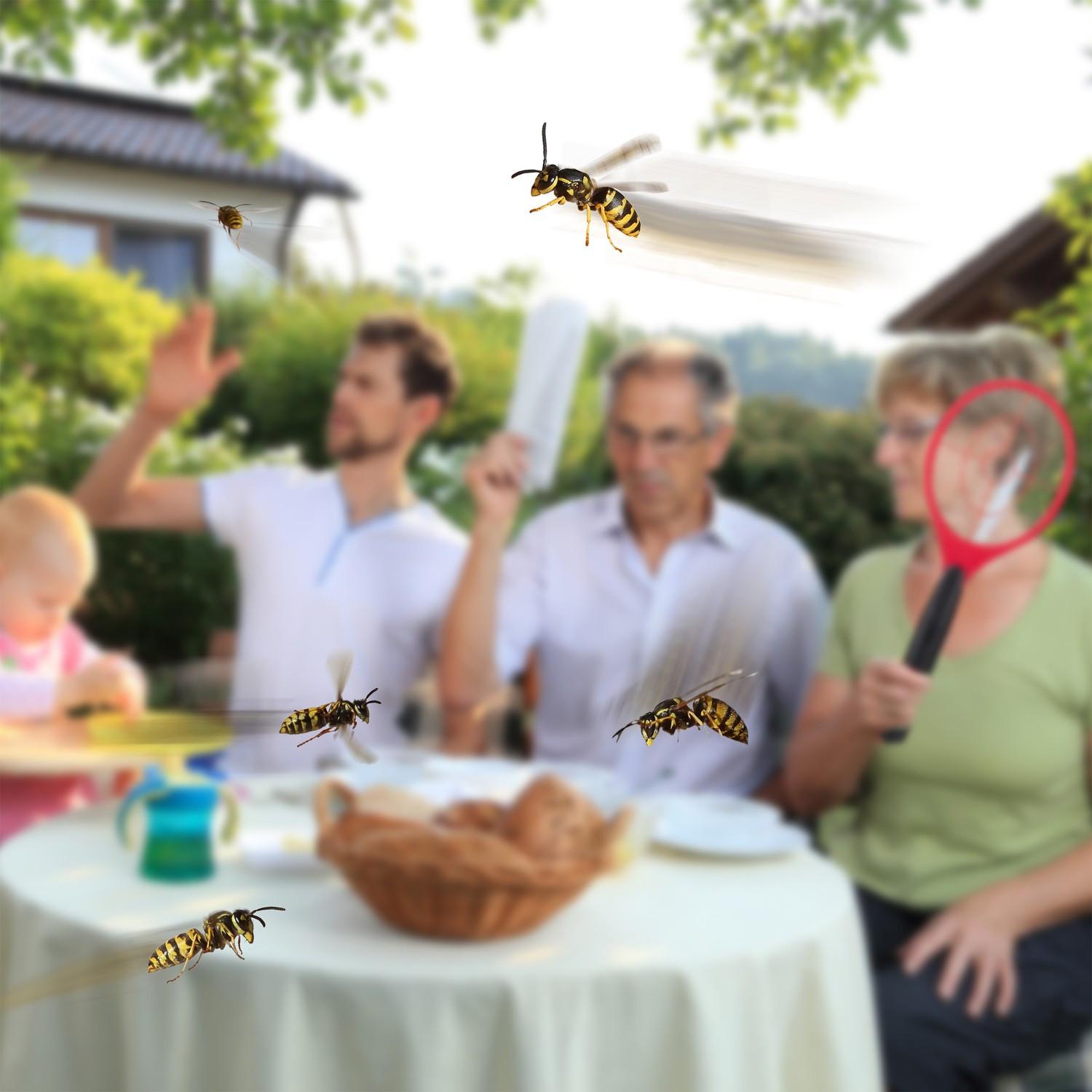 B2X Bekämpfen Sie Insekten effektiv mit unserer elektrischen Fliegenklatsche – für einen schädlingsfreien Sommer. Genießen Sie Outdoor-Aktivitäten ohne lästige Fliegen und Mücken dank der effizienten, chemiefreien Funktionsweise.


Beseitigen S  