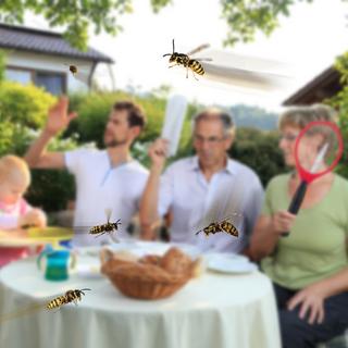 B2X Bekämpfen Sie Insekten effektiv mit unserer elektrischen Fliegenklatsche – für einen schädlingsfreien Sommer. Genießen Sie Outdoor-Aktivitäten ohne lästige Fliegen und Mücken dank der effizienten, chemiefreien Funktionsweise.


Beseitigen S  