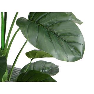 Vente-unique Kunstpflanze Taro-Baum mit Topf - H. 160 cm - Grün - BAJA  