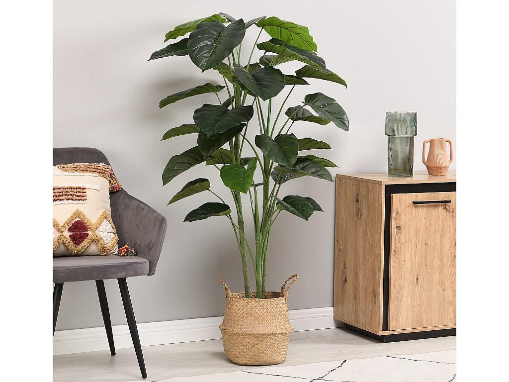 Vente-unique Kunstpflanze Taro-Baum mit Topf - H. 160 cm - Grün - BAJA  