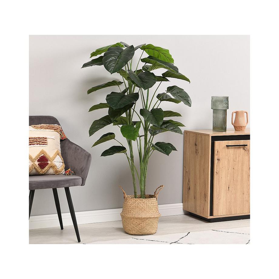 Vente-unique Kunstpflanze Taro-Baum mit Topf - H. 160 cm - Grün - BAJA  