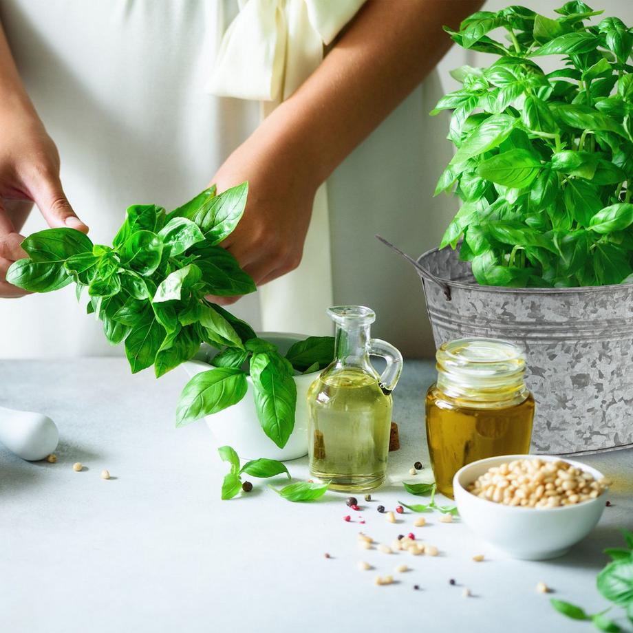 B2X Zinkwanne 4er Set  