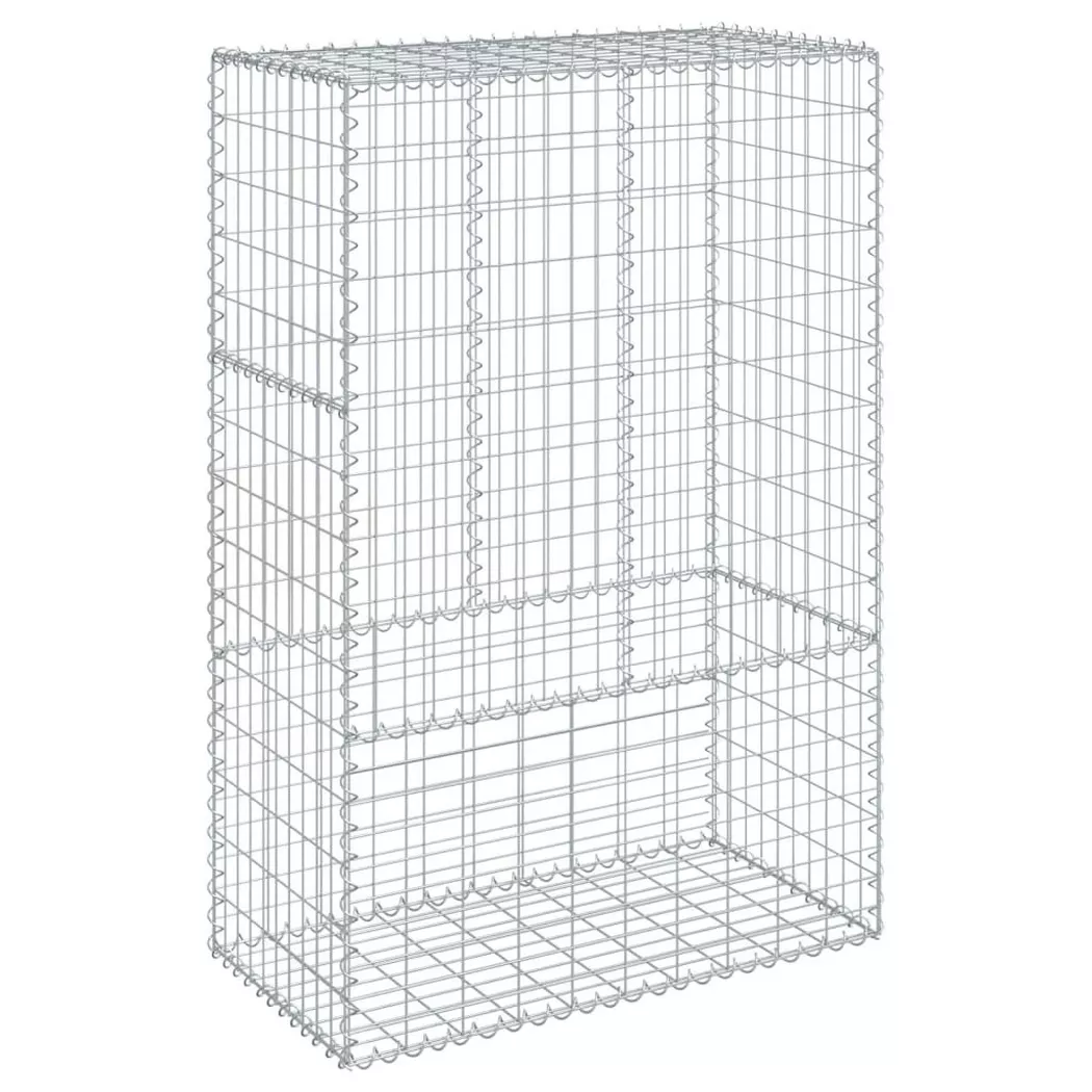 VidaXL - Panier gabion fer, One Size, Argent