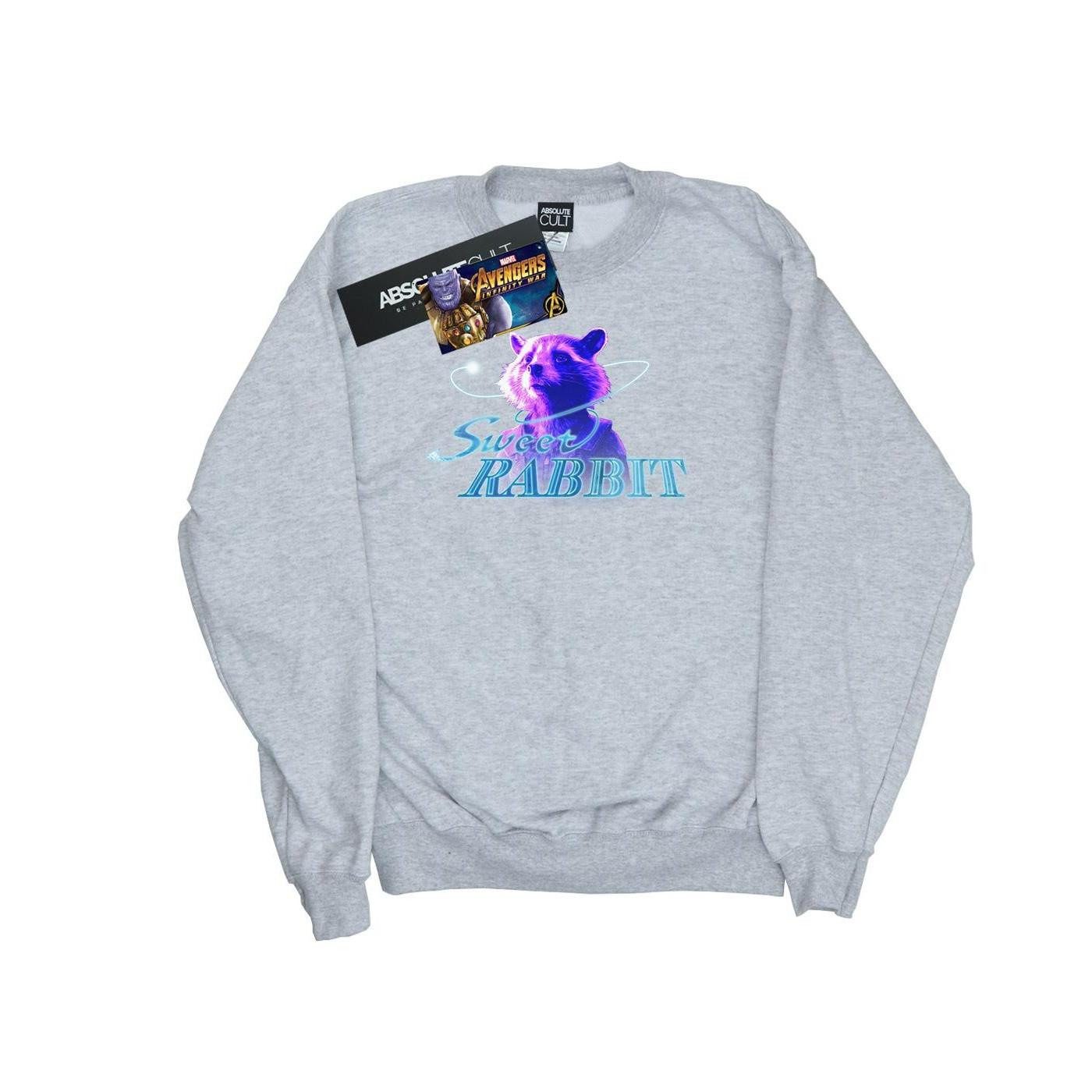 Image of Avengers Infinity War Sweet Rabbit Sweatshirt Jungen Grau 116