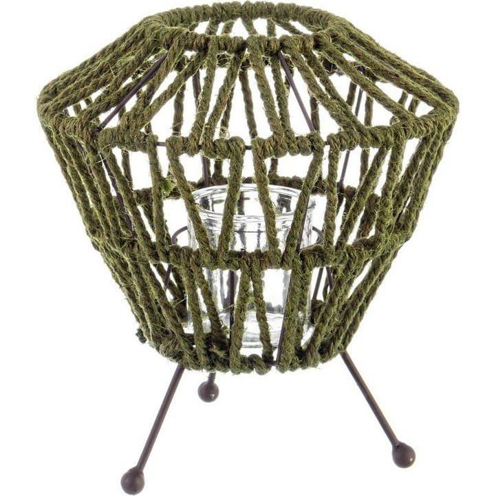 Image of Laterne Grass Laterne Grass