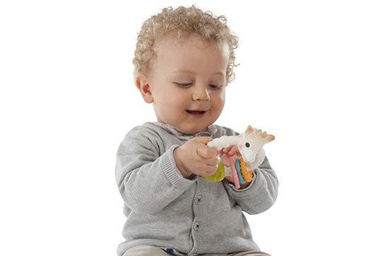 Sophie de Giraf  Sophie la girafe 220120 Beissring 