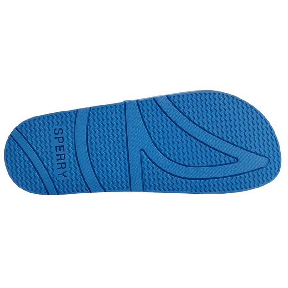 Sperry Claquette de bain Freeboard  