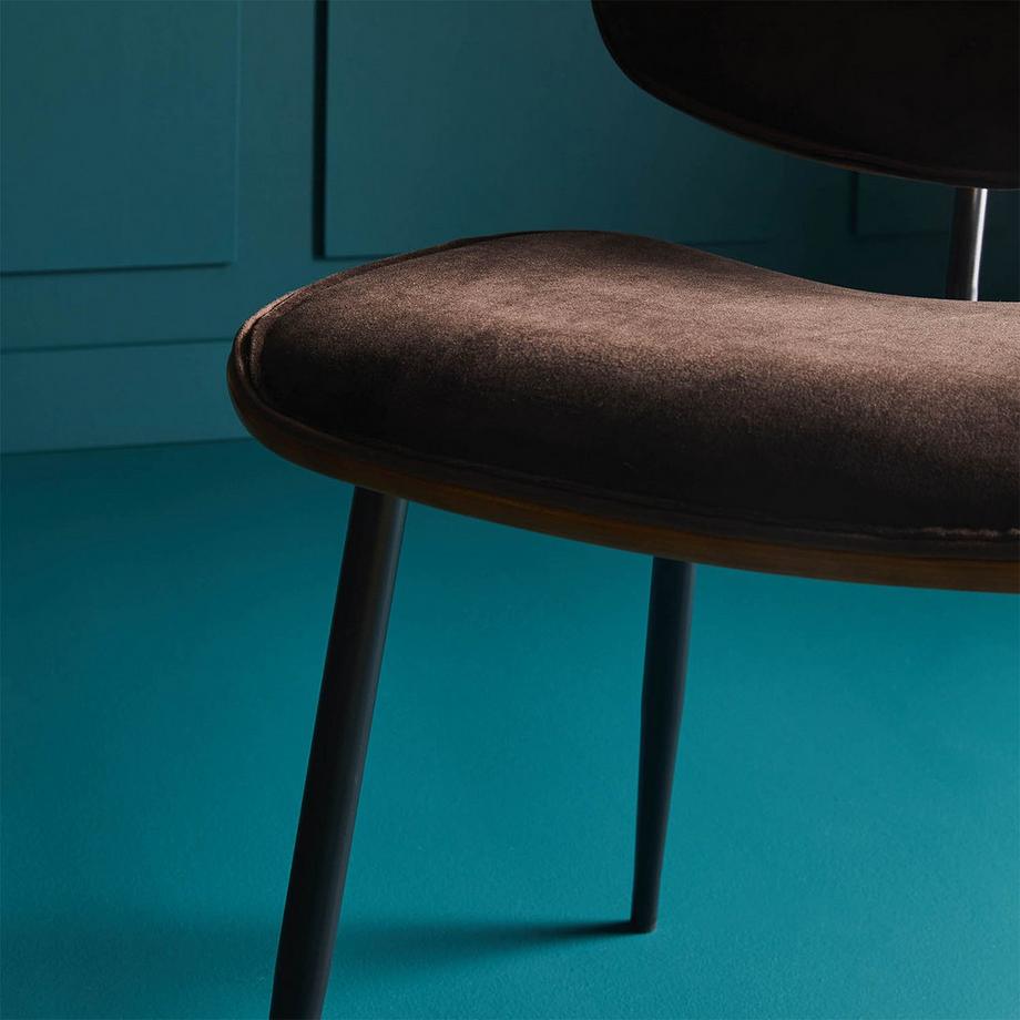 Calicosy Velours-Stühle im 2er-Set mit Holz-Finish - Olympia  