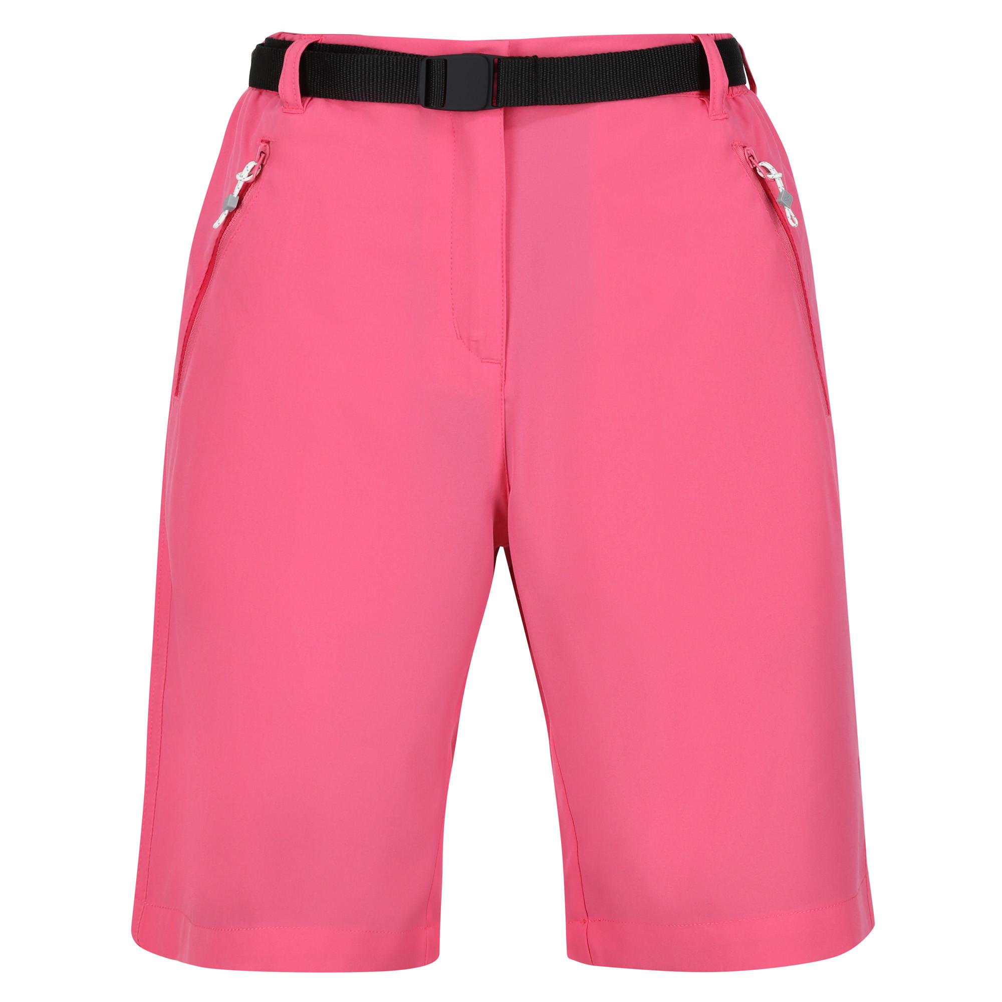 Regatta  Xert Shorts 