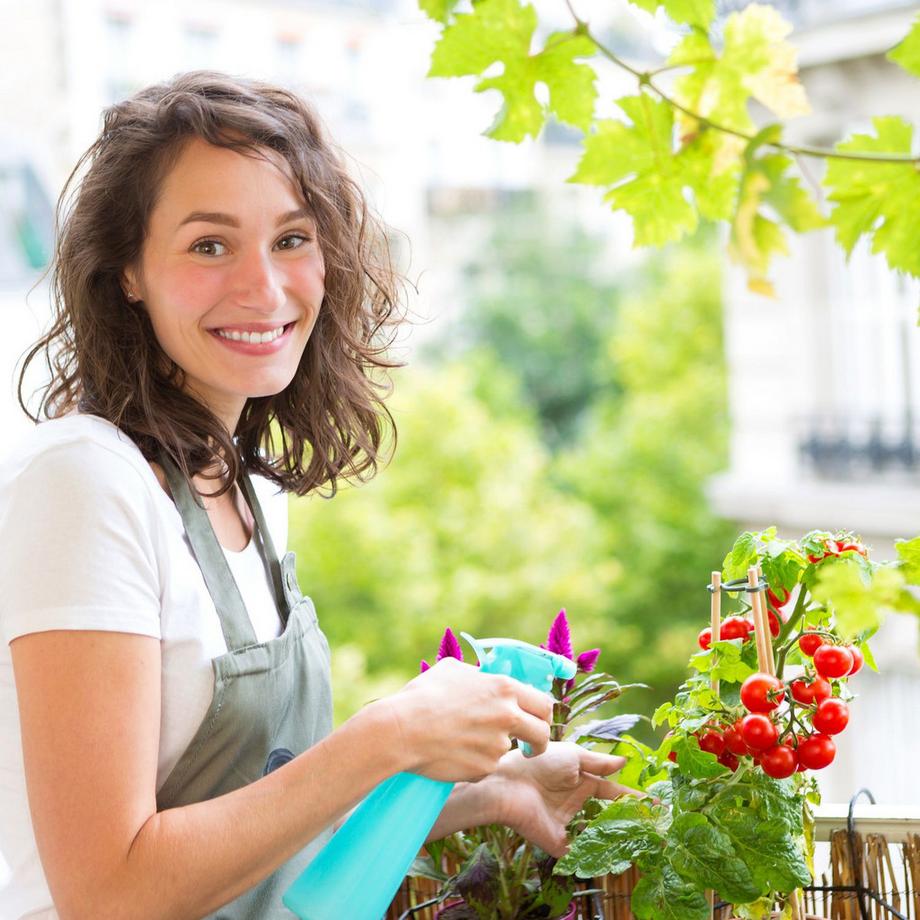 B2X Serra con copertura in PVC  