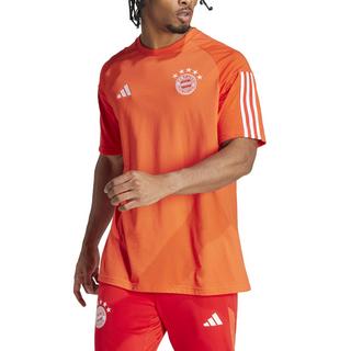 adidas  t-shirt in cotone bayern munich 2023/24 