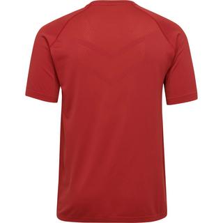 Hummel  trikot hmlauthentic seamless pro 