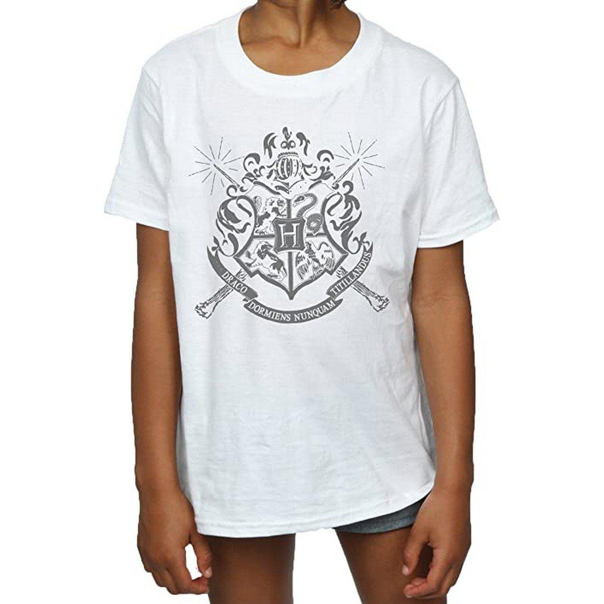 Harry Potter  Tshirt 