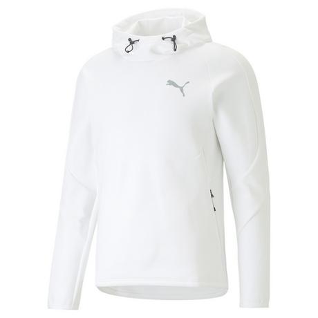 PUMA  sweat à capuche evostripe dk 