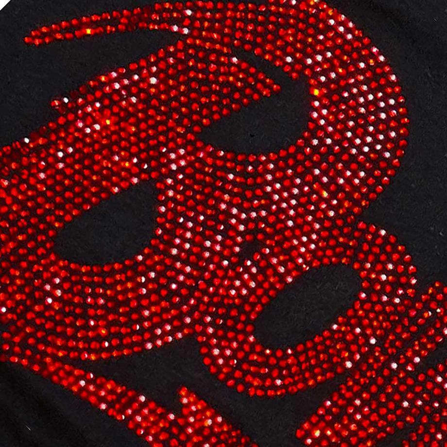 David Bowie Logo T-Shirt  