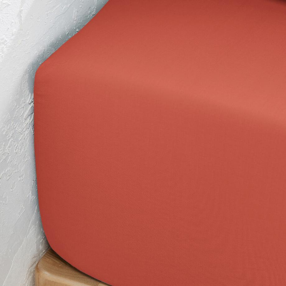 La Redoute Intérieurs Scenario Drap-housse uni en percale de coton bio  