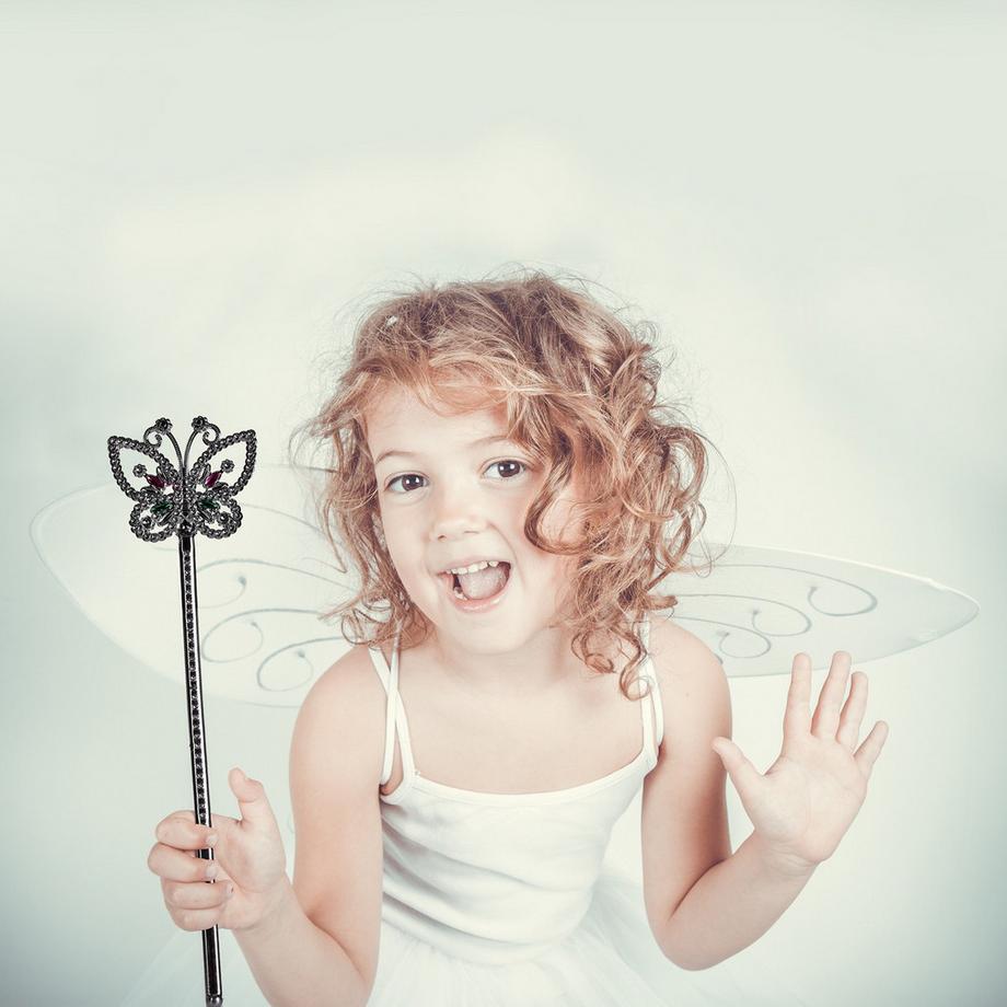 B2X  Ailes de fée avec baguette 