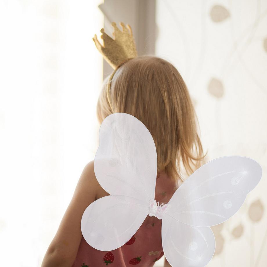 B2X  Ailes de fée avec baguette 