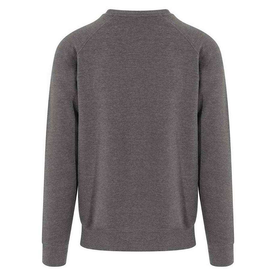 AWDis Graduate Sweatshirt  