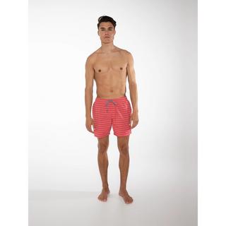 PROTEST Sharif Gestreifte Strandshorts  