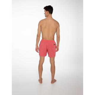 PROTEST Sharif Gestreifte Strandshorts  