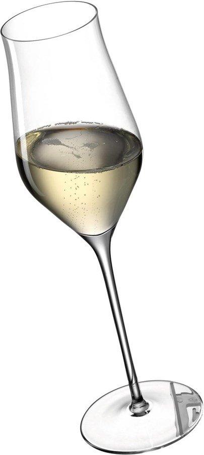 LEONARDO Champagnerglas Brunelli, 6 Stück, Transparent  