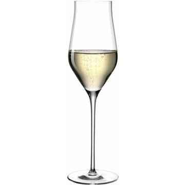 Champagnerglas Brunelli, 6 Stück, Transparent