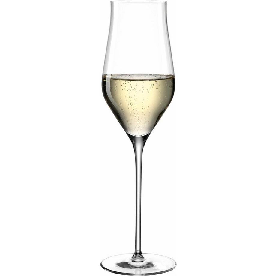 LEONARDO Champagnerglas Brunelli 6 Stück  