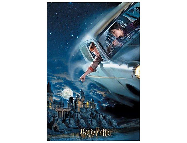 Philos  Puzzle 3D Puzzle Harry & Ron in Sammlerbox (300Teile) 