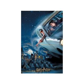 Philos  Puzzle 3D Puzzle Harry & Ron in Sammlerbox (300Teile) 