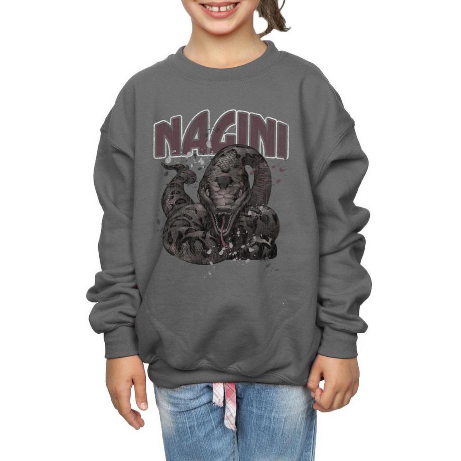 Harry Potter  Sweatshirt 