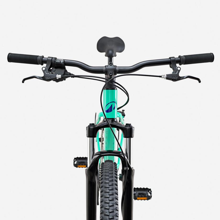 ROCKRIDER  Mountain bike EXPL 100 uomo 29 pollici trekking alluminio 
