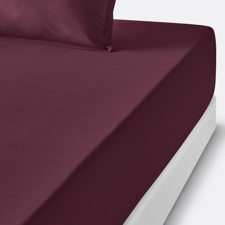 La Redoute Intérieurs Drap housse Scenario  