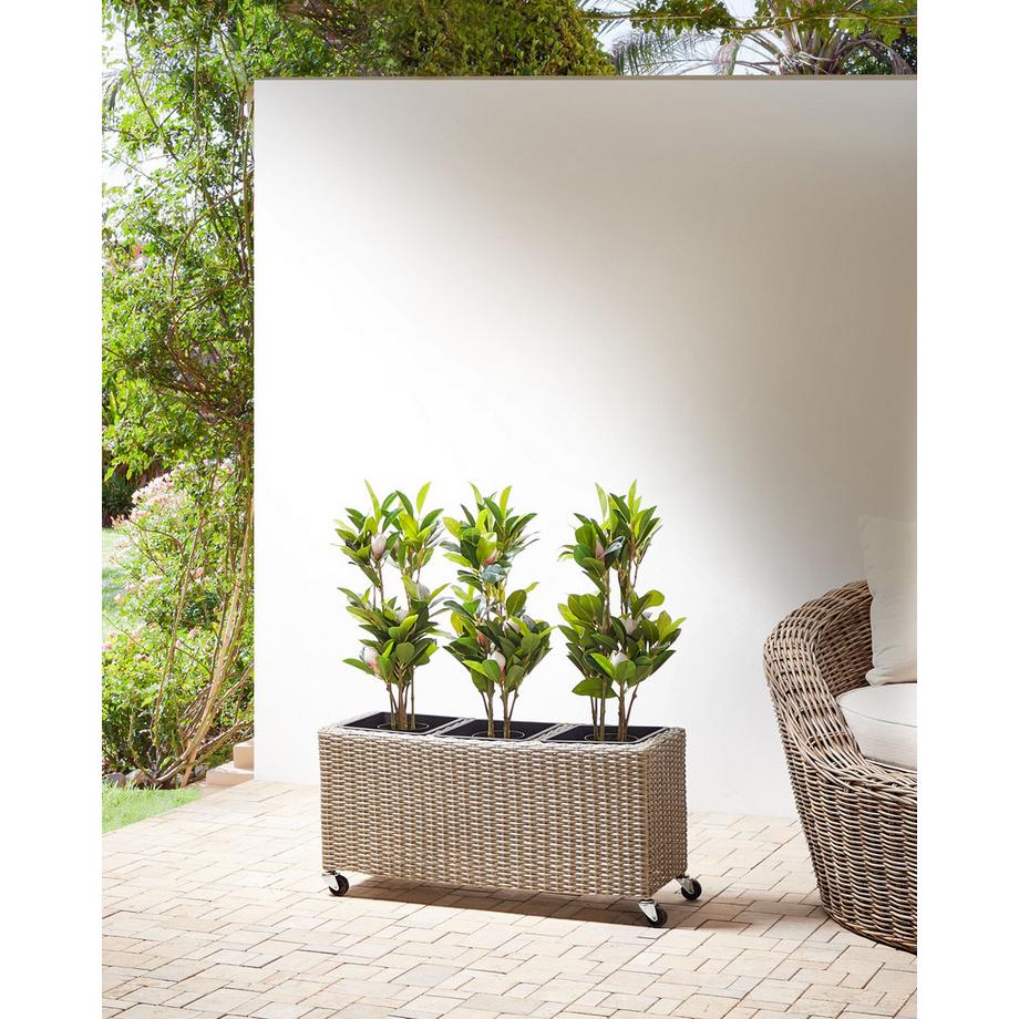 Beliani Vaso per piante en Rattan sintetico Rustico BELLIS  