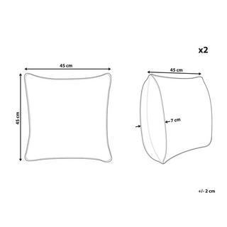 Beliani Kissen 2er Set aus Polyester Modern ASTRANTIA  