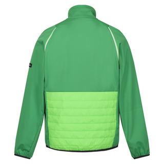 Regatta  Steren Hybrid Softshelljacke 