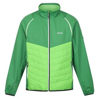 Regatta  Steren Hybrid Softshelljacke 