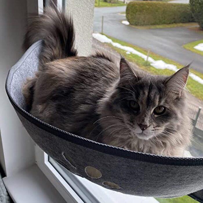 Alopini  Katzen-Fensterliege Fensterbank mit Matten und Saugnapf zum Sonnenbaden, bis 20 KG 