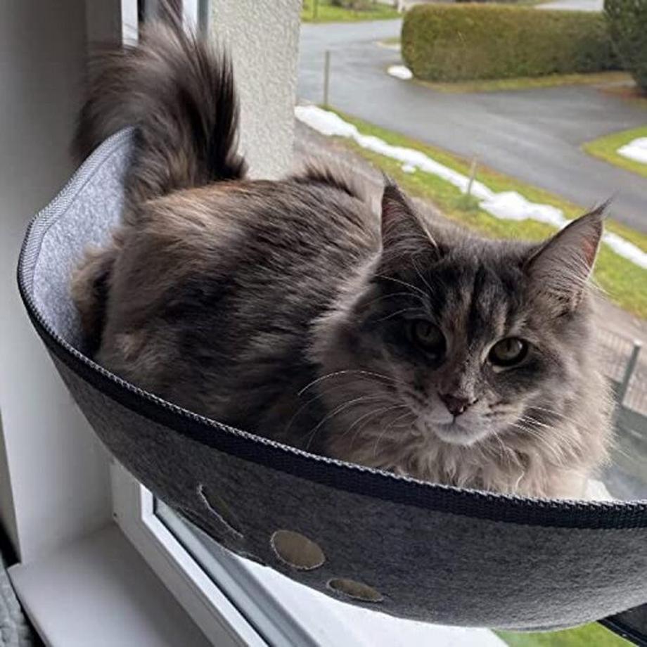 Alopini  Katzen-Fensterliege Fensterbank mit Matten und Saugnapf zum Sonnenbaden, bis 20 KG 