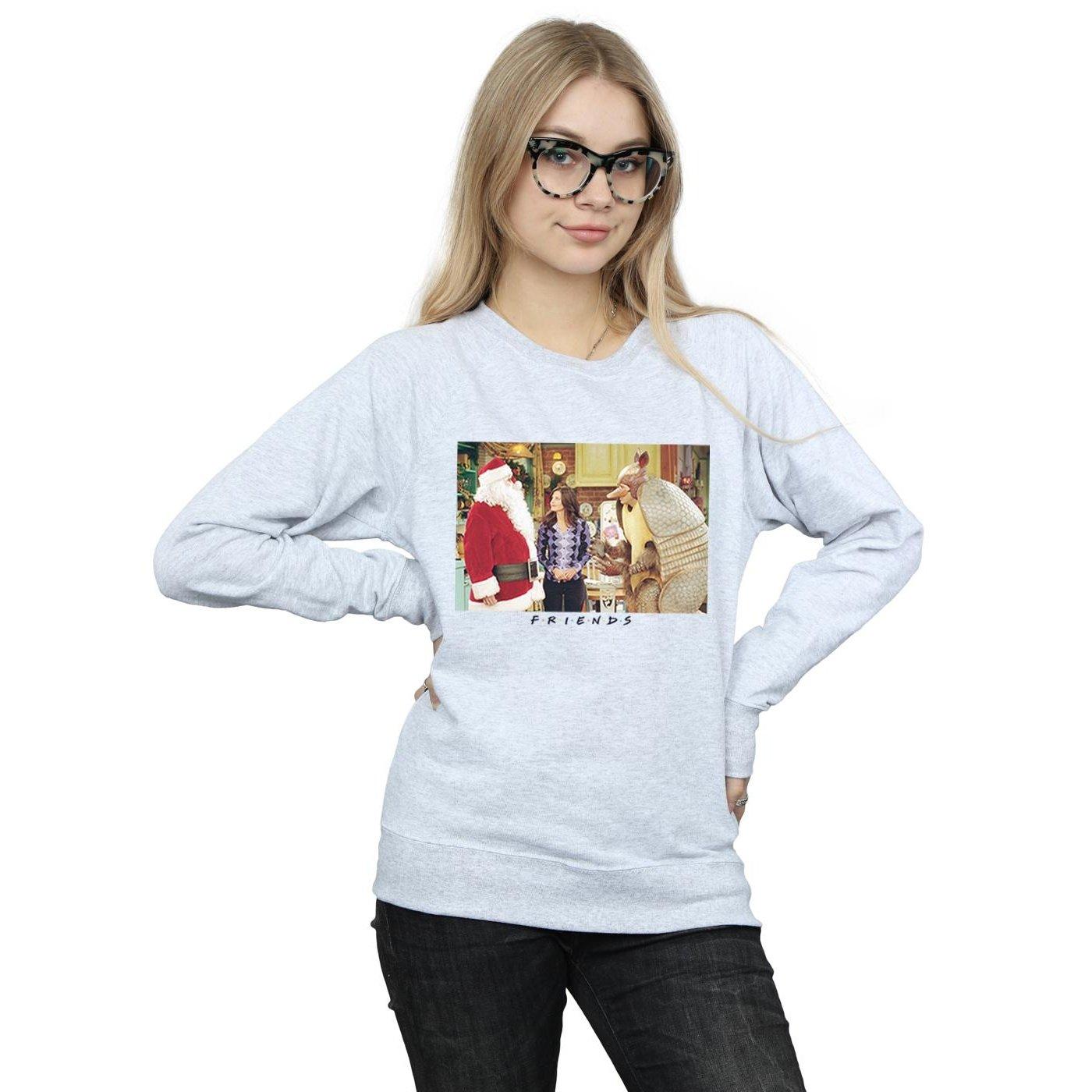 Friends  Christmas Armadillo Sweatshirt 