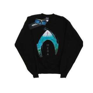 DC COMICS  Sweatshirt 