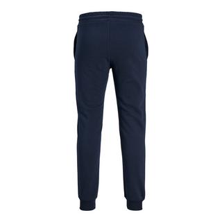 JACK & JONES Jpstgordon Sweatpants  