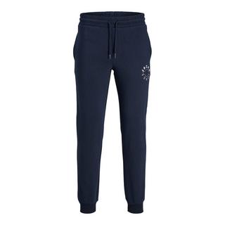 JACK & JONES Jpstgordon Sweatpants  
